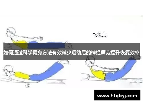 如何通过科学健身方法有效减少运动后的神经疲劳提升恢复效率